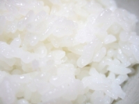 【カレー専用】ご飯大盛り