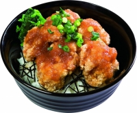 とりからおろし丼