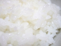 【朝定食専用】ご飯大盛り