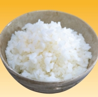 【単品】ライス