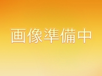 南高梅酒水割り