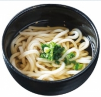 冷やしかけうどん