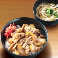 ミニうどんと牛丼セット