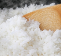 ごはん大盛り 500g