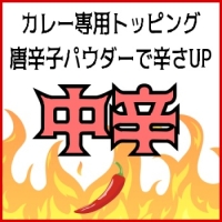 トッピング中辛