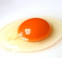 トッピング 生卵