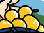 ことたま　第 264 話　-　収穫